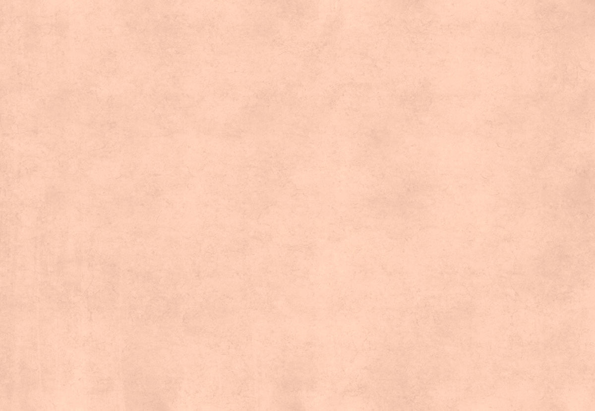 a-great-place-to-buy-toile-de-fond-decors-abstraite-de-photographie-de-motif-rose-brun-supply_2.jpg