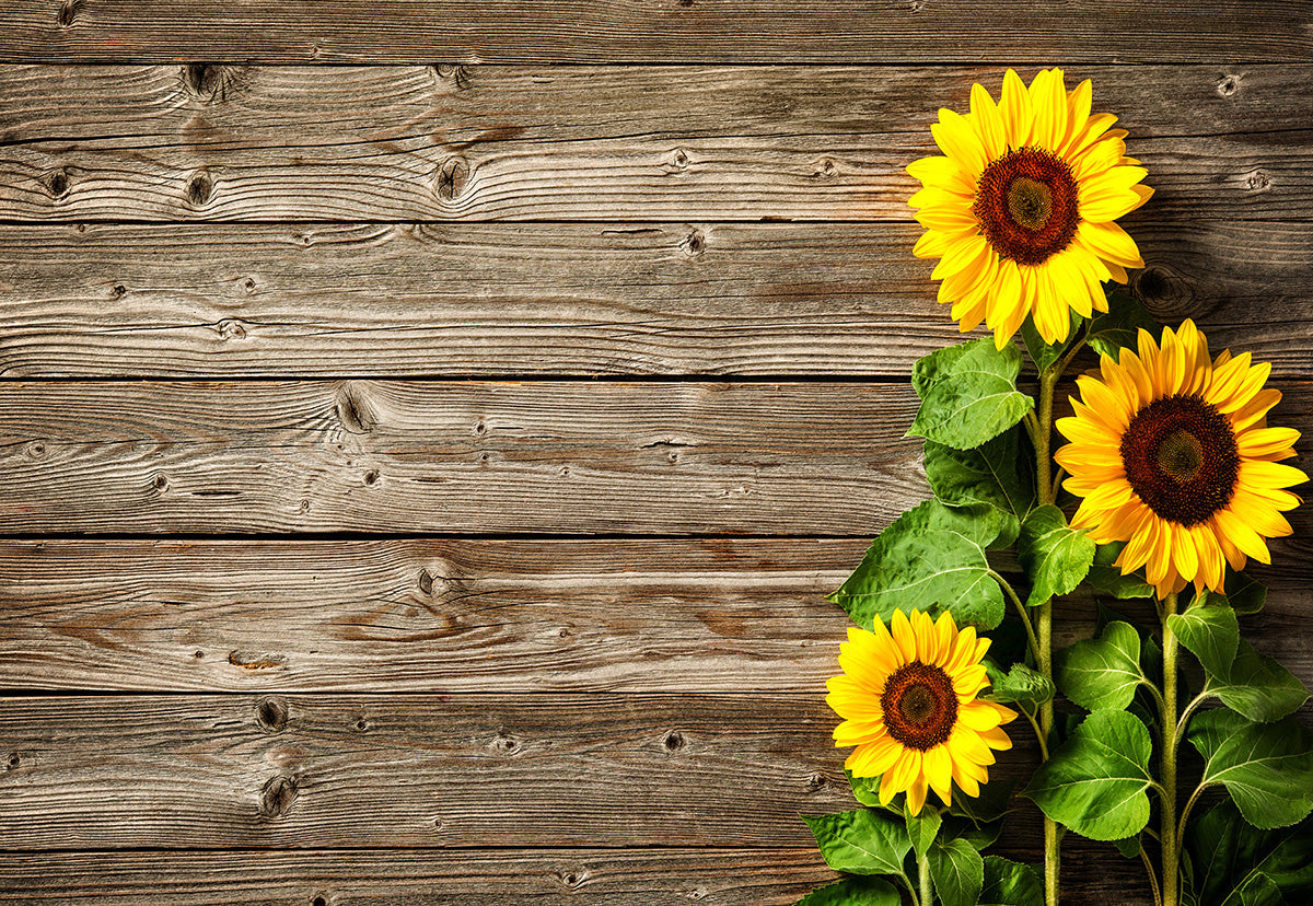 find-toile-de-fond-de-tournesol-brun-fonce-sol-en-mur-en-bois-texture-online-sale_1.jpg