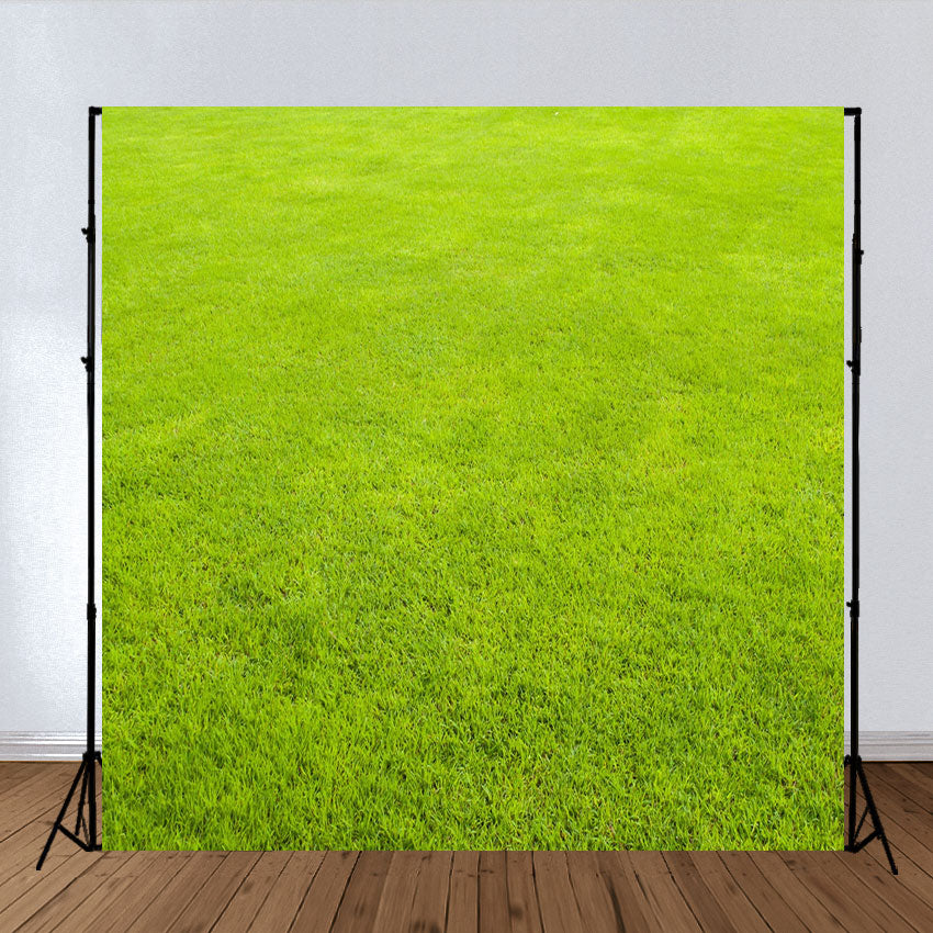 we-sell-the-best-toile-de-fond-decors-de-photographie-de-motif-vert-abstrait-online-hot-sale_1.jpg
