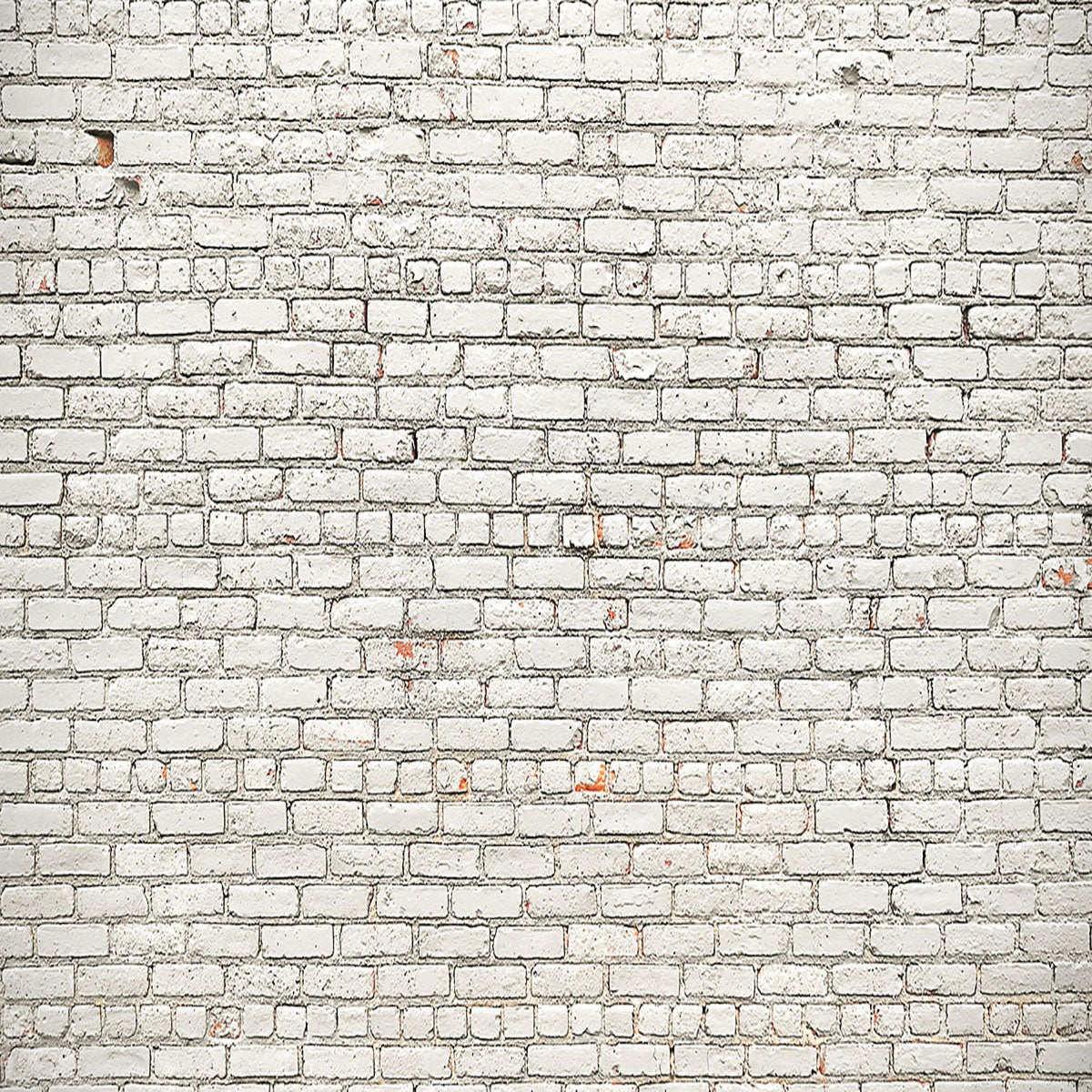 shop-online-and-get-your-favourite-toile-de-fond-decors-de-mur-de-briques-beiges-pour-fond-de-photographie-fashion_1.jpg