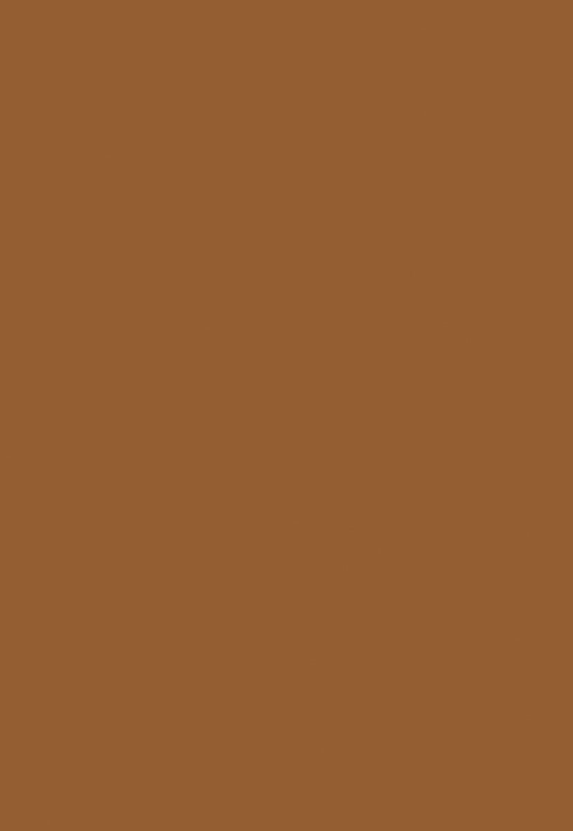 the-official-store-of-toile-de-fond-de-studio-photo-couleur-unie-marron-pour-portrait-supply_0.jpg
