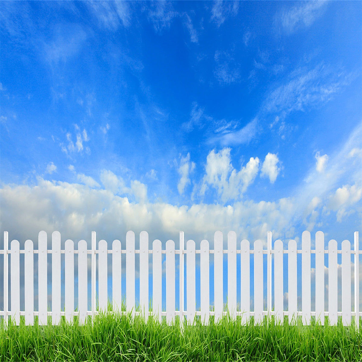 the-one-place-to-find-cheap-toile-de-fond-ciel-bleu-cloture-blanche-nuage-printemps-herbe-verte-pour-paques-sale_1.jpg