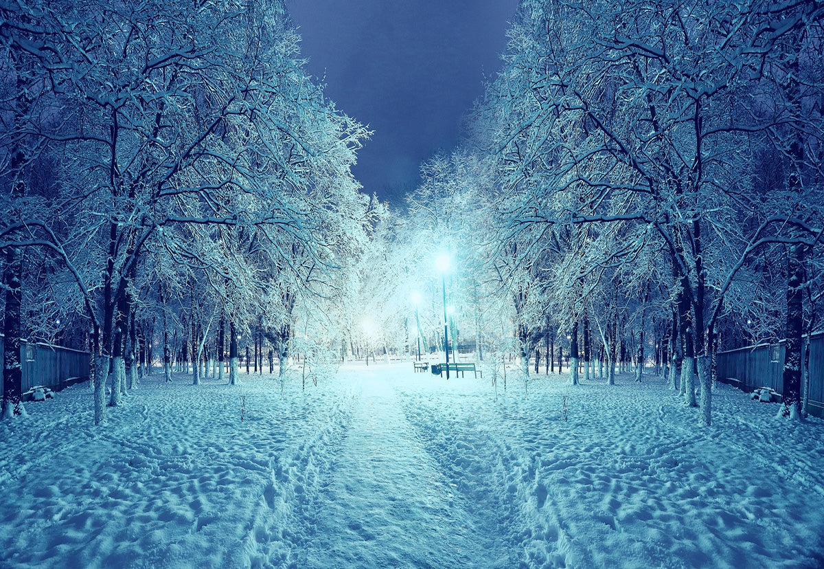 the-official-site-of-official-toile-de-fond-de-photographie-dhiver-de-couverture-de-neige-de-nuit-online_0.jpg