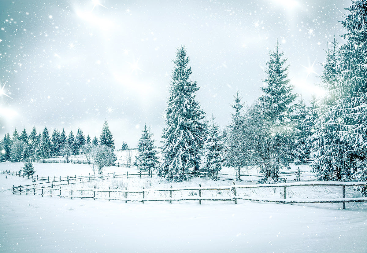 the-worlds-best-authentic-toile-de-fond-dhiver-de-pin-de-neige-pour-la-photographie-on-sale_0.jpg