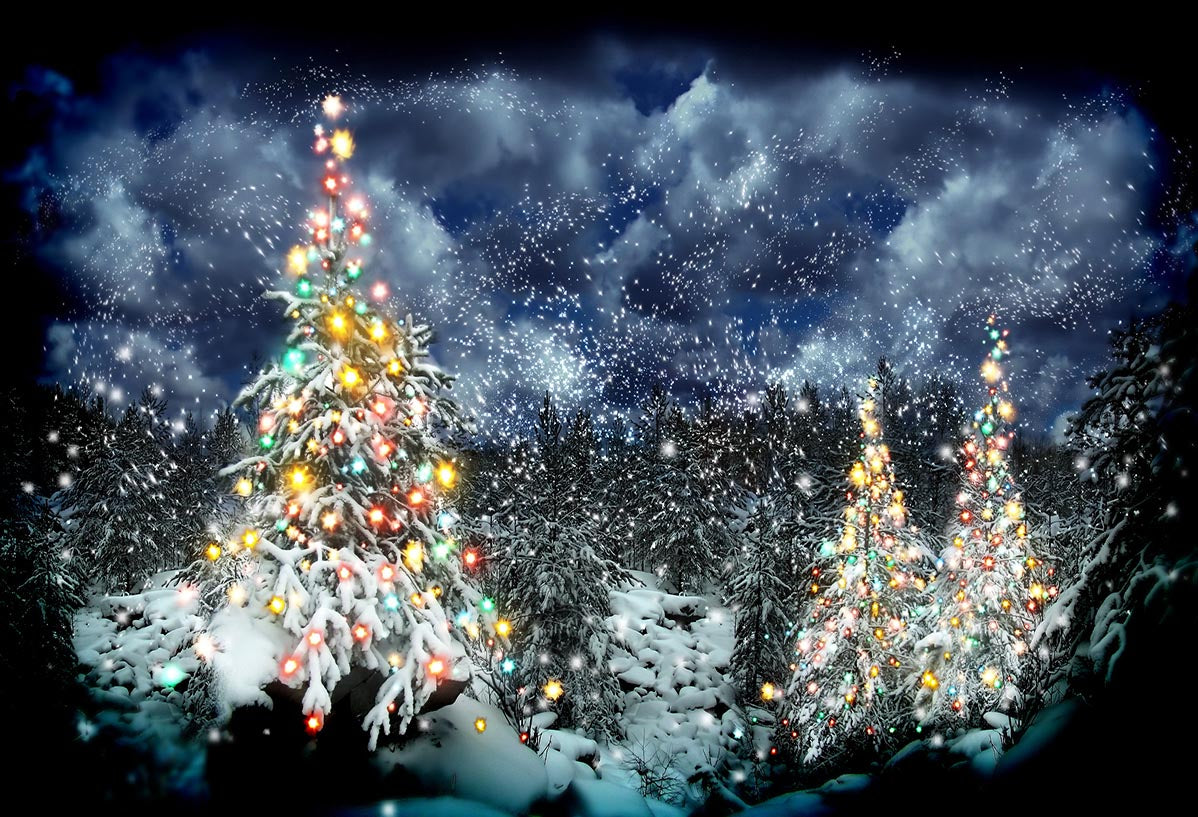 buy-your-game-toile-de-fond-nuit-dhiver-de-la-foret-de-neige-darbres-de-noel-lumineux-online-hot-sale_0.jpg