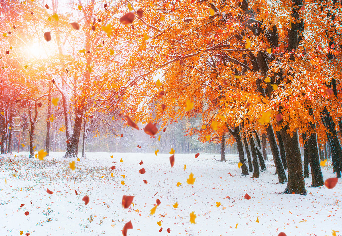 leaking-out-of-your-toile-de-fond-de-photographie-de-neige-darbre-derable-rouge-online_0.jpg