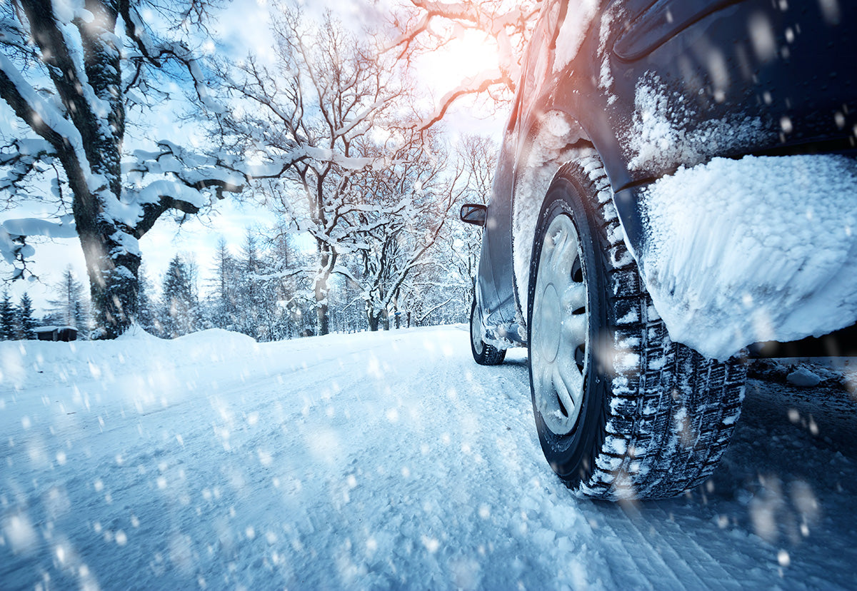 we-are-the-best-place-to-buy-toile-de-fond-de-voiture-neige-branches-hiver-photographie-hot-on-sale_0.jpg
