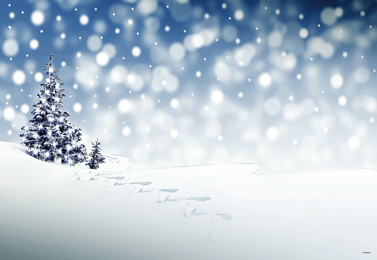 buy-your-favorite-teams-toile-de-fond-decors-s-de-photomaton-de-neige-dhiver-sale_0.jpg
