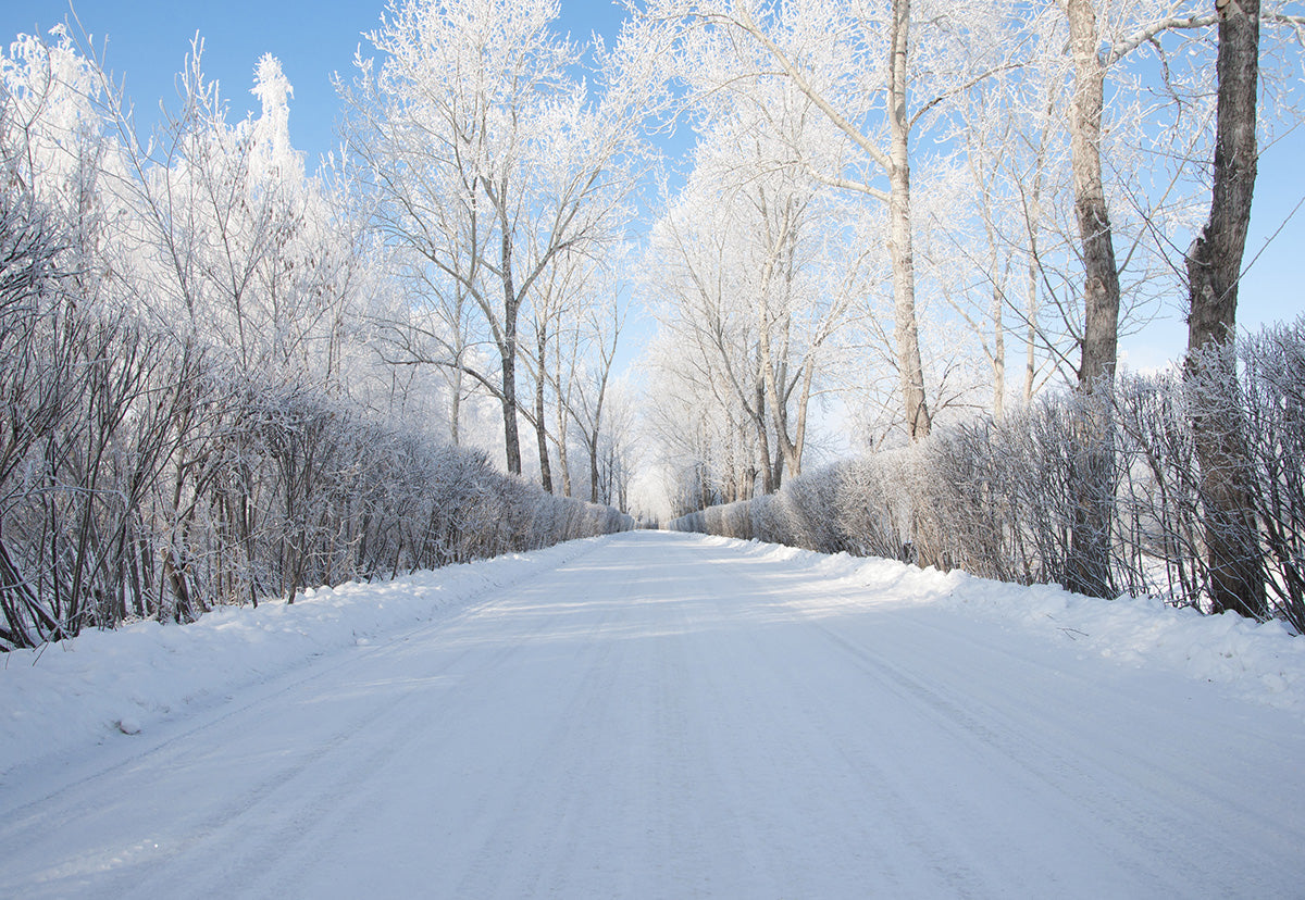 get-your-wholesale-toile-de-fond-de-photographie-de-route-de-neige-blanche-pour-la-session-dhiver-fashion_0.jpg