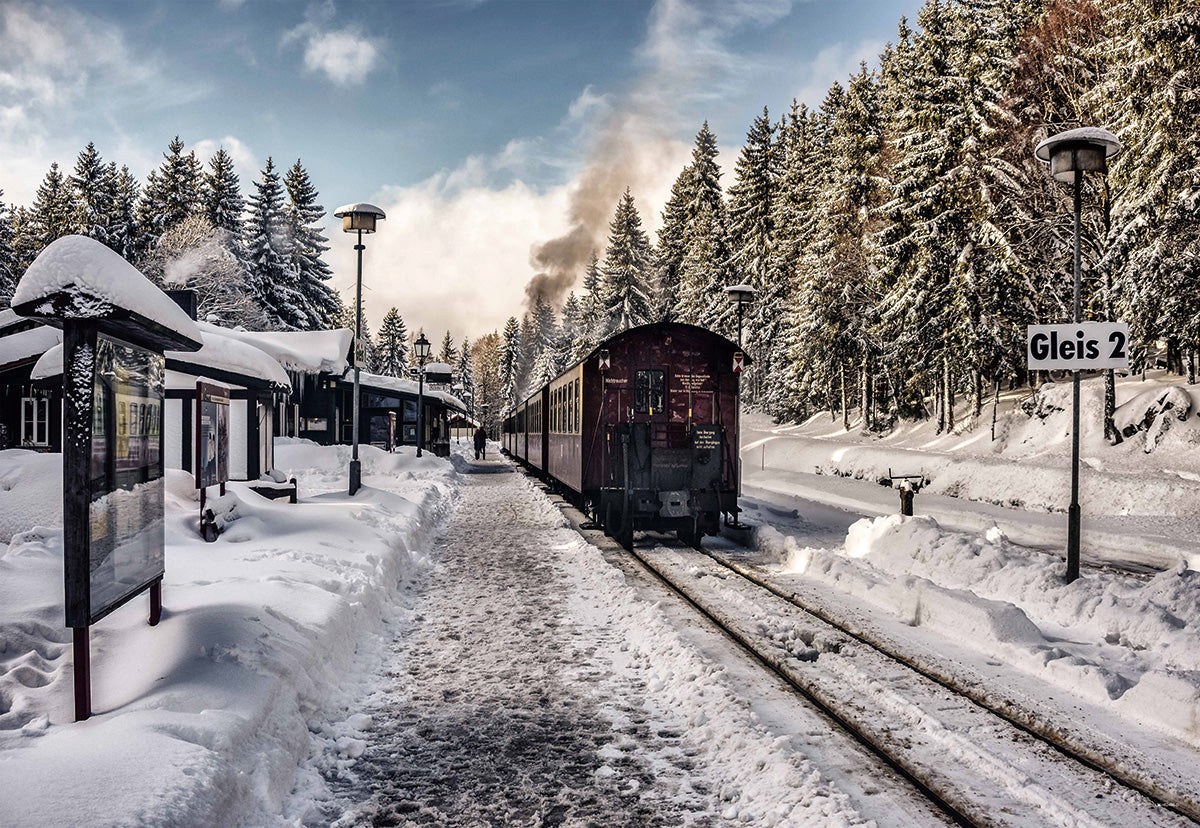 grab-your-favorite-toile-de-fond-de-route-de-neige-dhiver-de-train-vintage-pour-la-photo-hot-on-sale_0.jpg