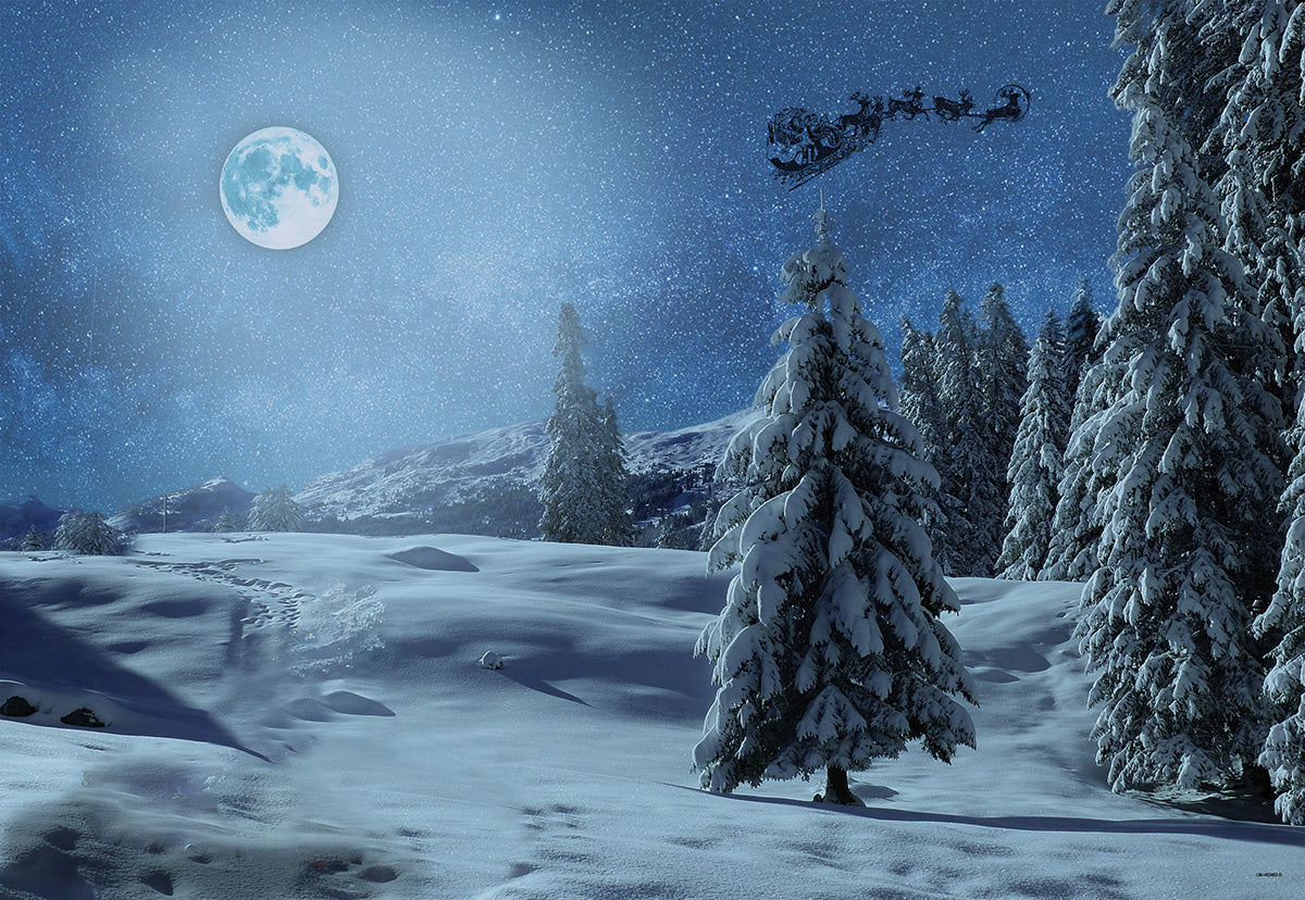 shop-professional-and-licensed-toile-de-fond-de-nuit-dhiver-neige-foret-pere-noel-pour-la-photographie-online_0.jpg