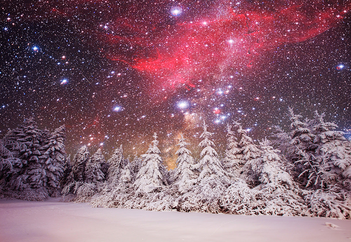 the-largest-online-retailer-of-toile-de-fond-dhiver-foret-etoiles-lumiere-photographie-supply_0.jpg