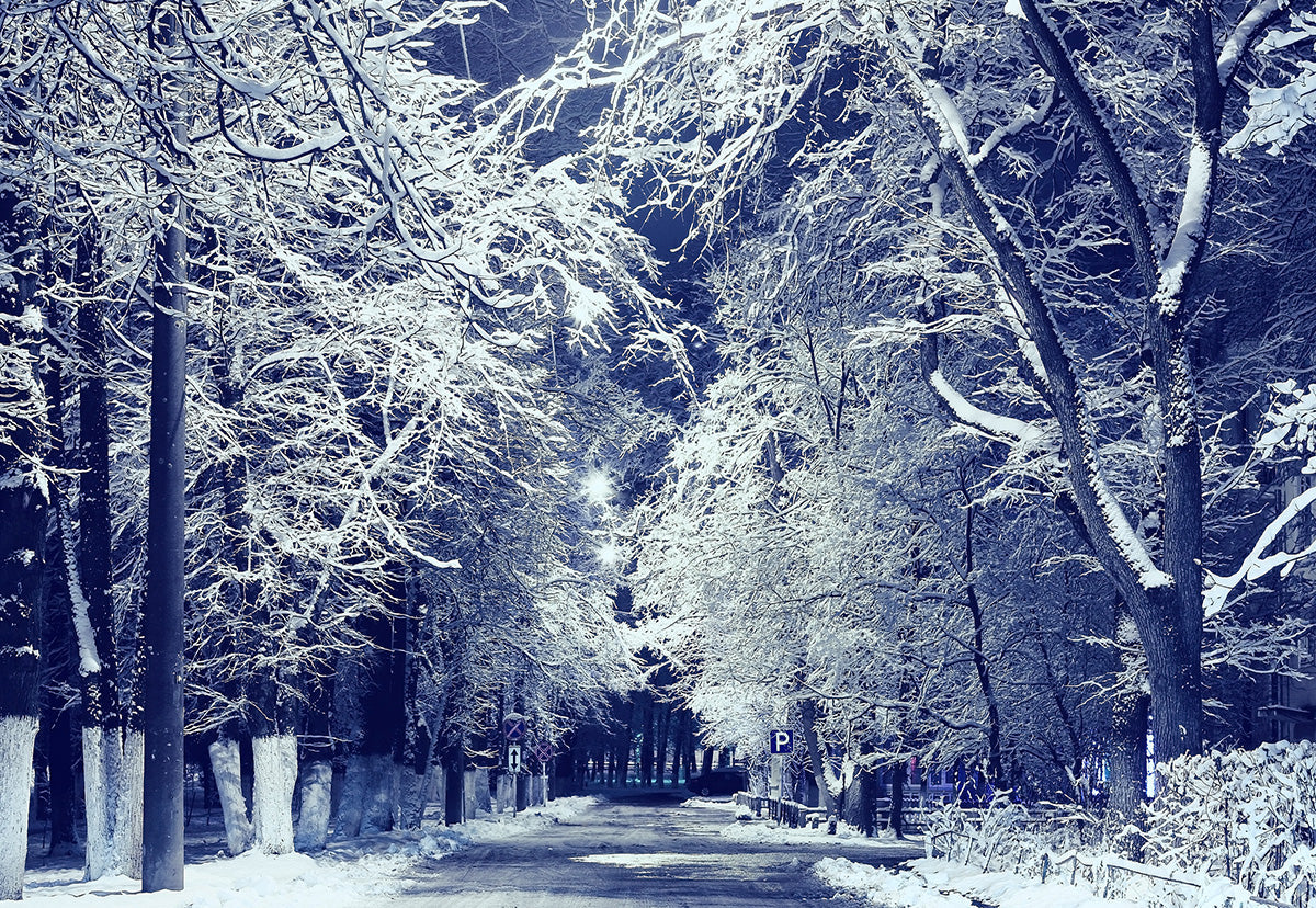 youve-never-seen-toile-de-fond-de-branches-dhiver-hiver-nuit-neige-route-photographie-online_0.jpg