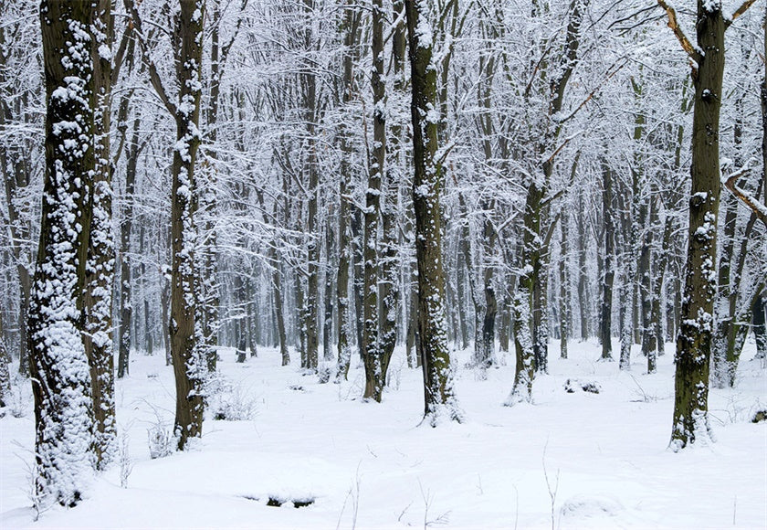 best-cheapest-toile-de-fond-de-photographie-de-couverture-de-neige-blanche-pour-lhiver-supply_0.jpg