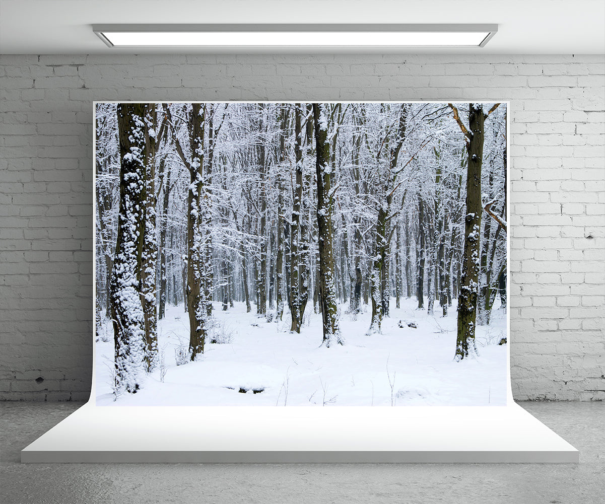 best-cheapest-toile-de-fond-de-photographie-de-couverture-de-neige-blanche-pour-lhiver-supply_1.jpg