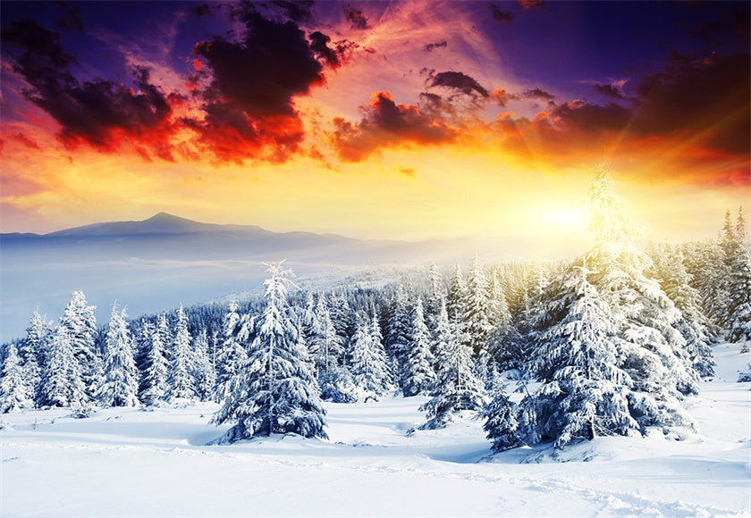 buy-the-newest-toile-de-fond-de-coucher-de-soleil-neige-foret-photographie-dhiver-supply_0.jpg