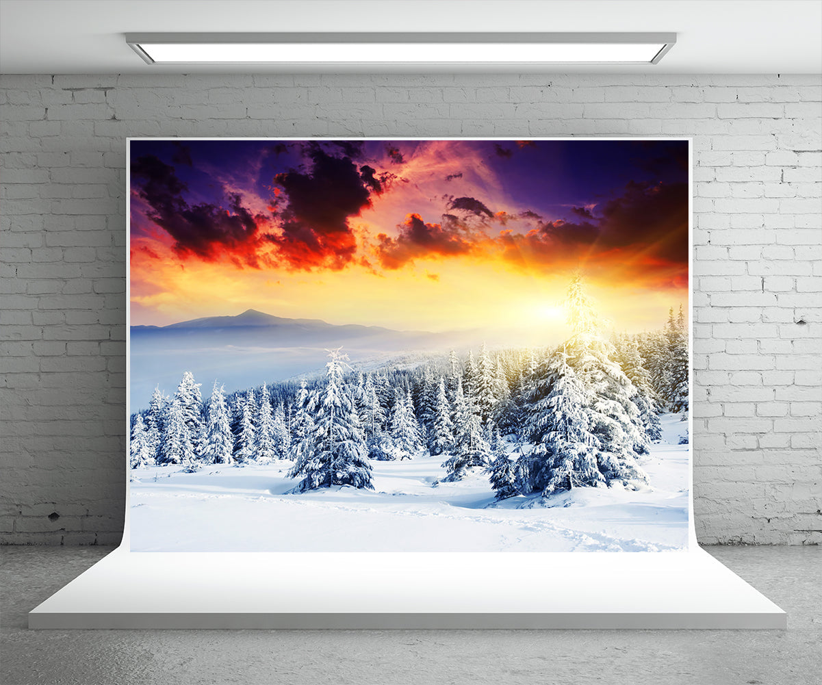 buy-the-newest-toile-de-fond-de-coucher-de-soleil-neige-foret-photographie-dhiver-supply_1.jpg