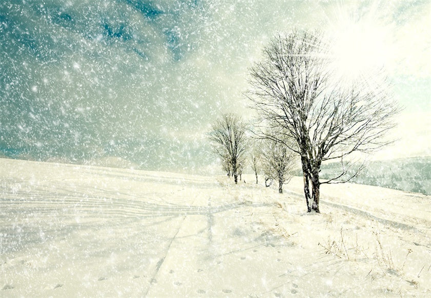 the-official-site-for-authentic-toile-de-fond-de-photographie-darbre-de-flocon-de-neige-blanc-fond-dhiver-sale_0.jpg