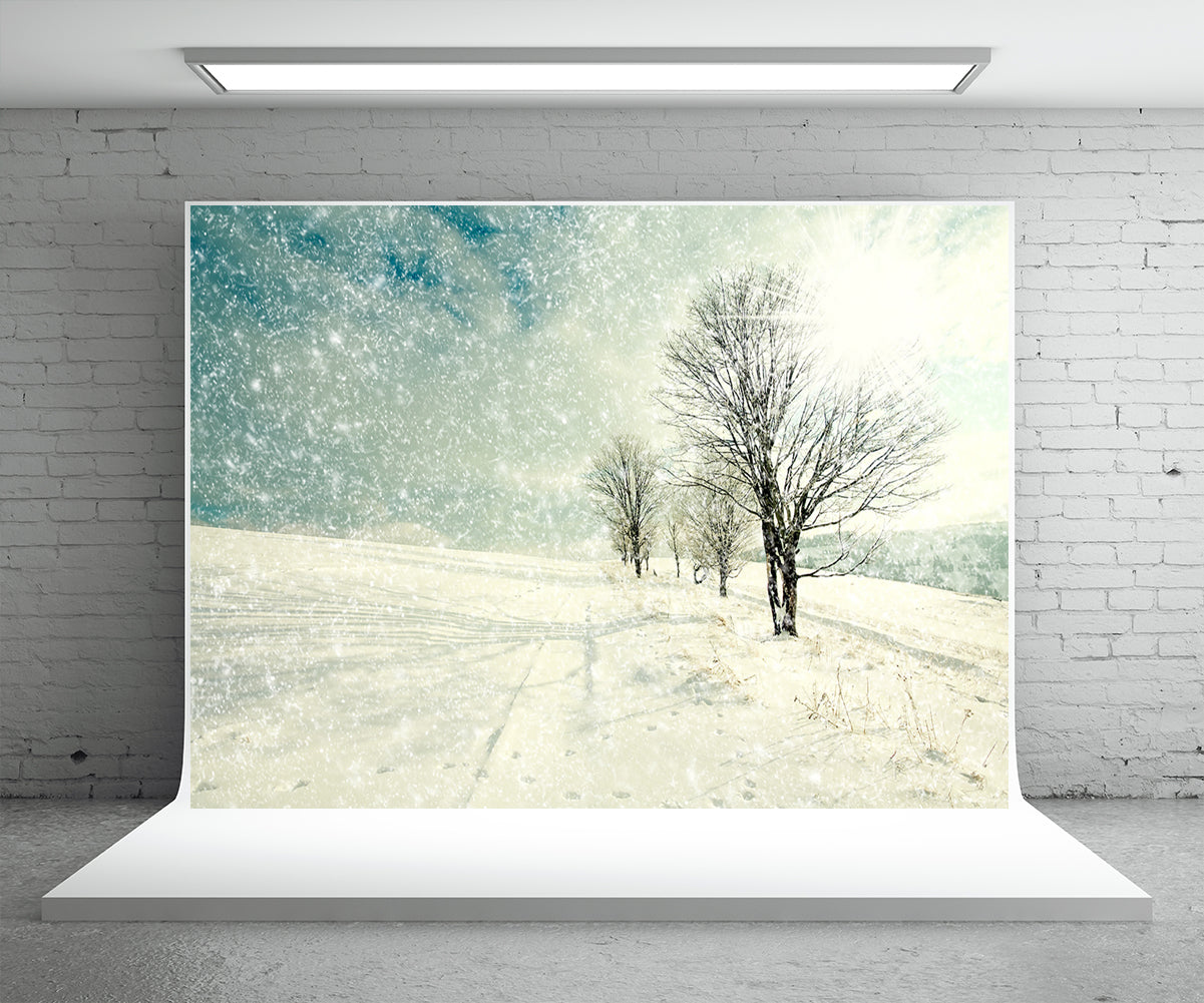 the-official-site-for-authentic-toile-de-fond-de-photographie-darbre-de-flocon-de-neige-blanc-fond-dhiver-sale_1.jpg
