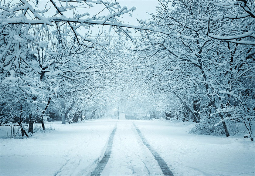 wholesale-toile-de-fond-de-photographie-de-route-de-neige-blanche-fond-dhiver-online_0.jpg