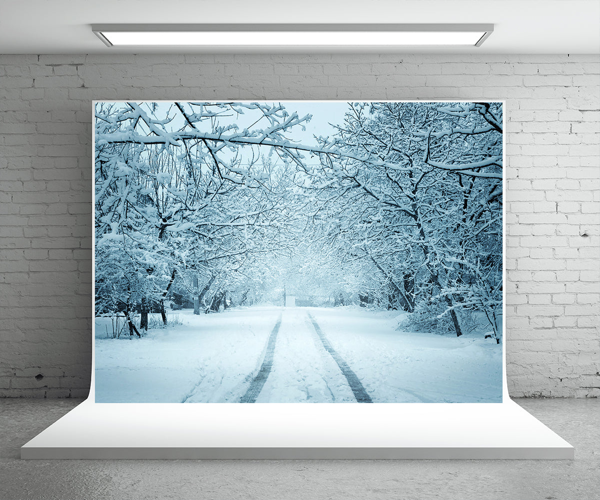 wholesale-toile-de-fond-de-photographie-de-route-de-neige-blanche-fond-dhiver-online_1.jpg