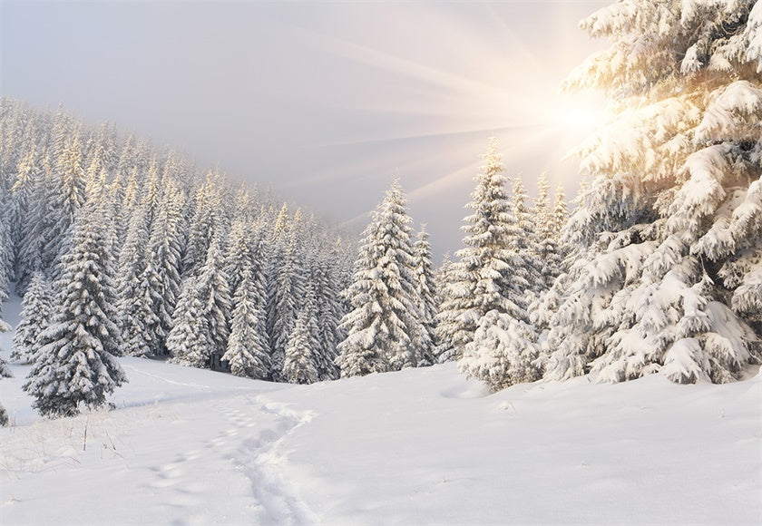 authentic-official-and-original-toile-de-fond-de-couverture-de-neige-foret-photographie-dhiver-sale_0.jpg