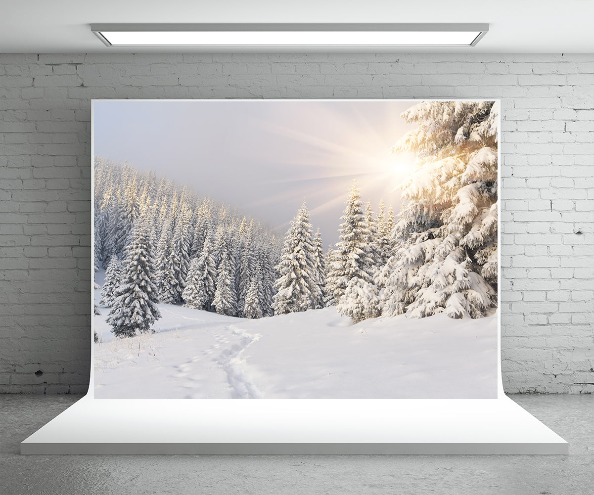authentic-official-and-original-toile-de-fond-de-couverture-de-neige-foret-photographie-dhiver-sale_1.jpg