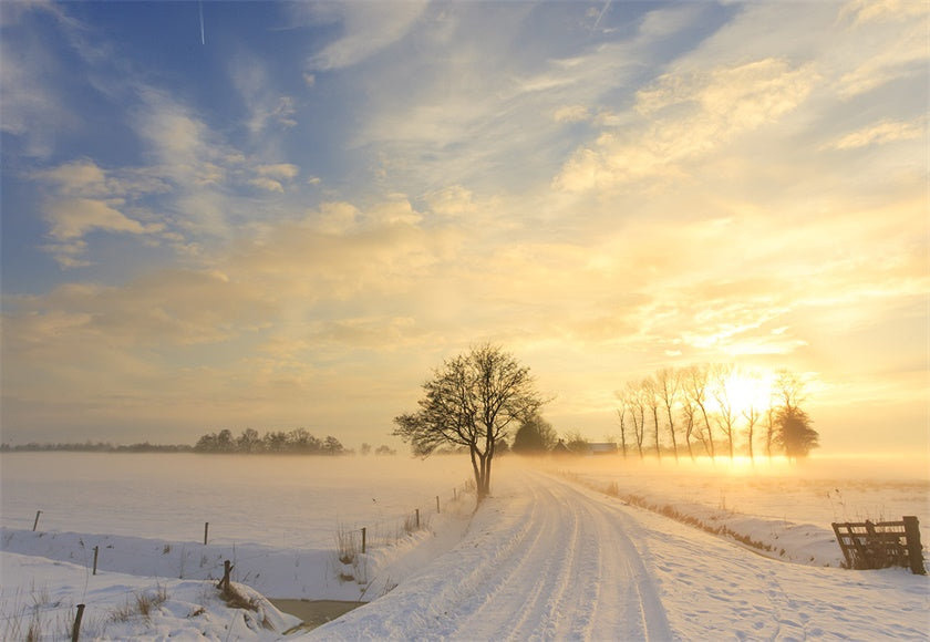 be-the-first-to-own-the-newest-toile-de-fond-de-photographie-de-champ-de-neige-fond-dhiver-hot-on-sale_0.jpg