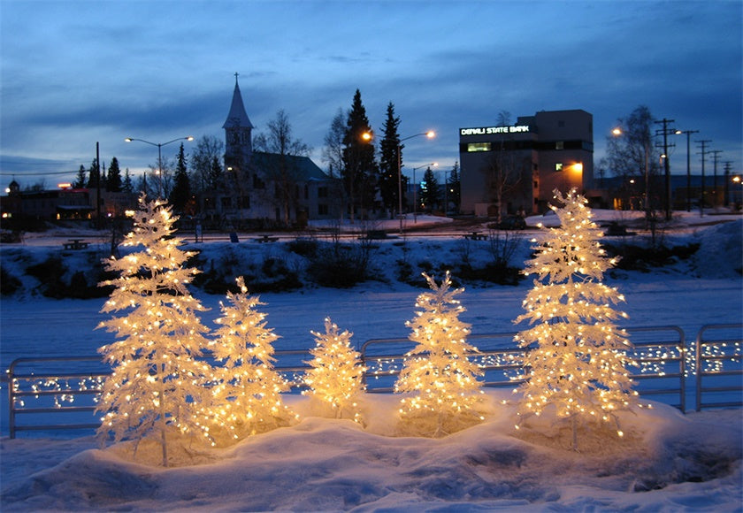 buy-authentic-toile-de-fond-de-lumiere-arbre-hiver-photographie-fond-de-neige-online-hot-sale_0.jpg
