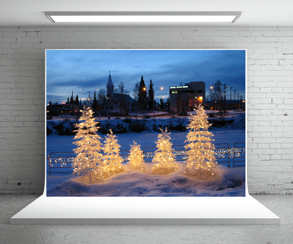 buy-authentic-toile-de-fond-de-lumiere-arbre-hiver-photographie-fond-de-neige-online-hot-sale_1.jpg
