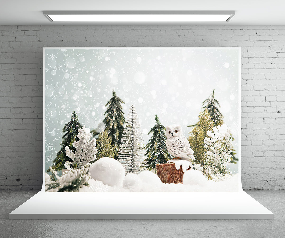 discount-toile-de-fond-de-photographie-dhiver-de-noel-de-pin-de-flocon-de-neige-discount_1.jpg