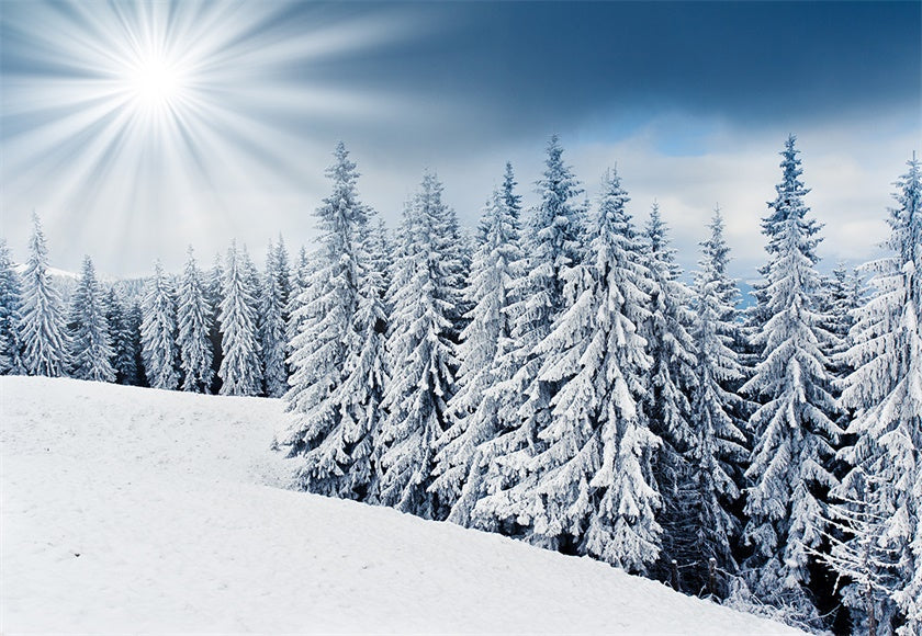 grab-your-favorite-toile-de-fond-de-lumiere-du-soleil-neige-foret-photographie-fond-dhiver-on-sale_0.jpg