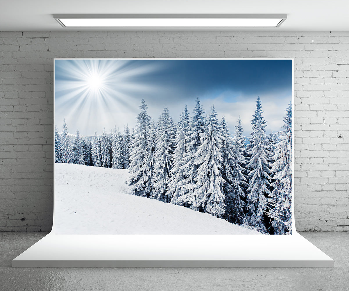 grab-your-favorite-toile-de-fond-de-lumiere-du-soleil-neige-foret-photographie-fond-dhiver-on-sale_1.jpg