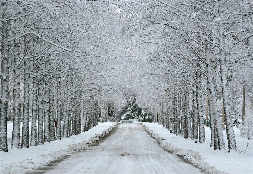order-your-favorite-toile-de-fond-de-neige-hiver-pays-des-merveilles-route-pour-la-photographie-discount_0.jpg