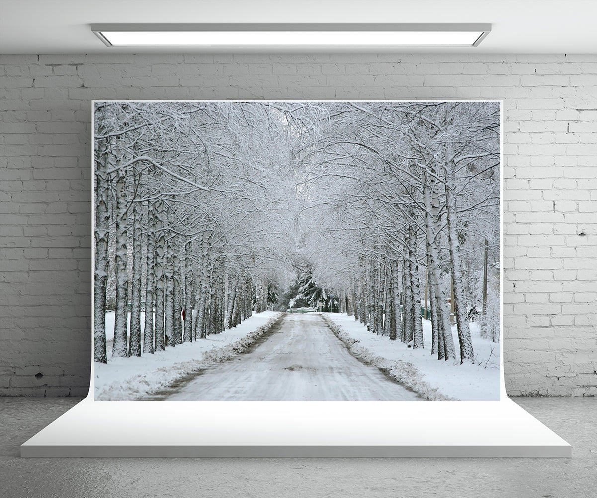 order-your-favorite-toile-de-fond-de-neige-hiver-pays-des-merveilles-route-pour-la-photographie-discount_1.jpg