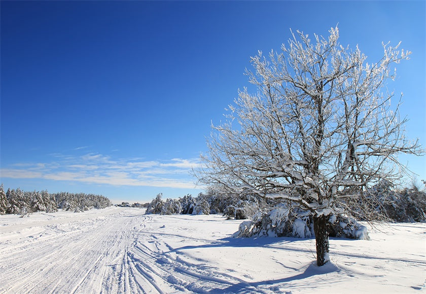 shop-for-the-latest-toile-de-fond-de-photographie-de-route-de-neige-pour-lhiver-online-hot-sale_0.jpg