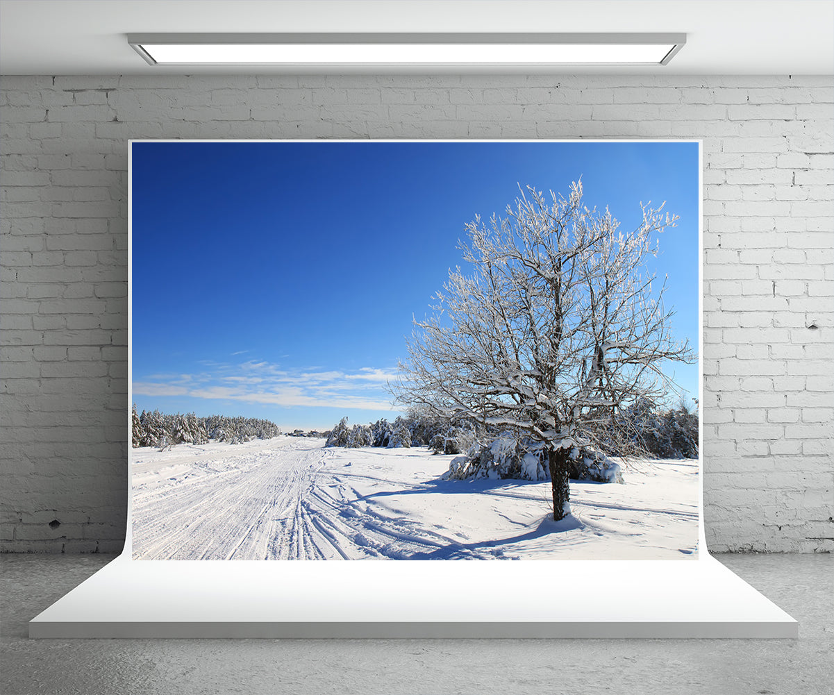 shop-for-the-latest-toile-de-fond-de-photographie-de-route-de-neige-pour-lhiver-online-hot-sale_1.jpg