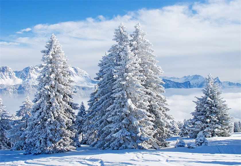 we-offer-the-lowest-prices-on-toile-de-fond-blanc-neige-pin-arbre-photographie-fond-dhiver-online-now_0.jpg
