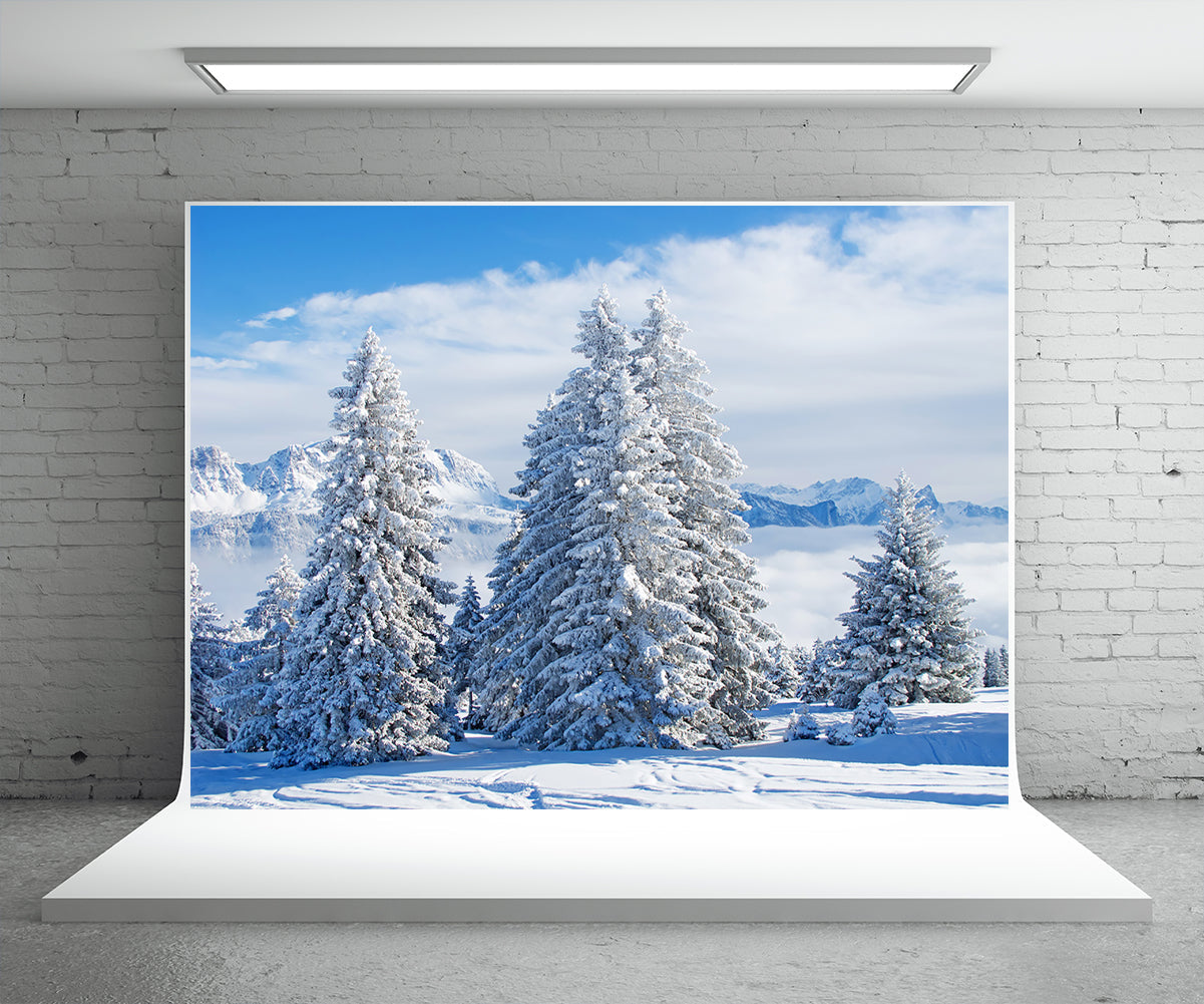 we-offer-the-lowest-prices-on-toile-de-fond-blanc-neige-pin-arbre-photographie-fond-dhiver-online-now_1.jpg