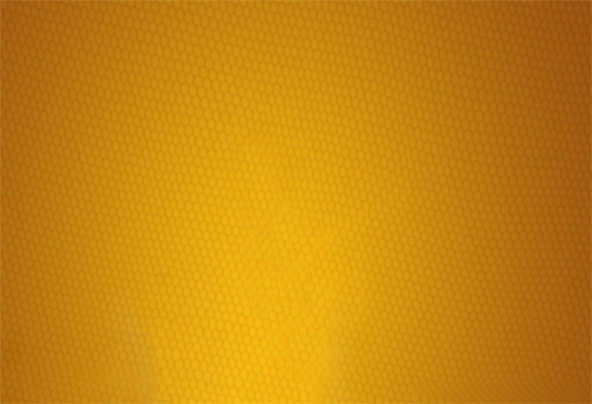 buy-your-toile-de-fond-de-photographie-dabeille-pour-le-nouveau-nee-et-bebe-online-sale_1.jpg