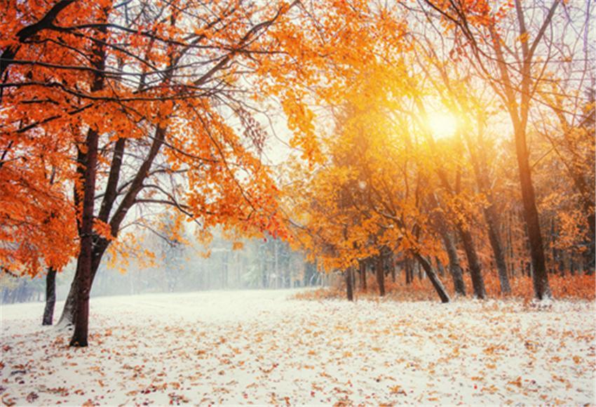 find-the-best-toile-de-fond-de-photographie-de-neige-derable-dautomne-on-sale_0.jpg