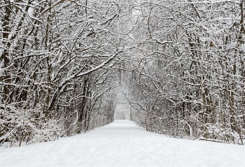 shop-toile-de-fond-de-branches-dhiver-neige-rue-photographique-hot-on-sale_0.jpg