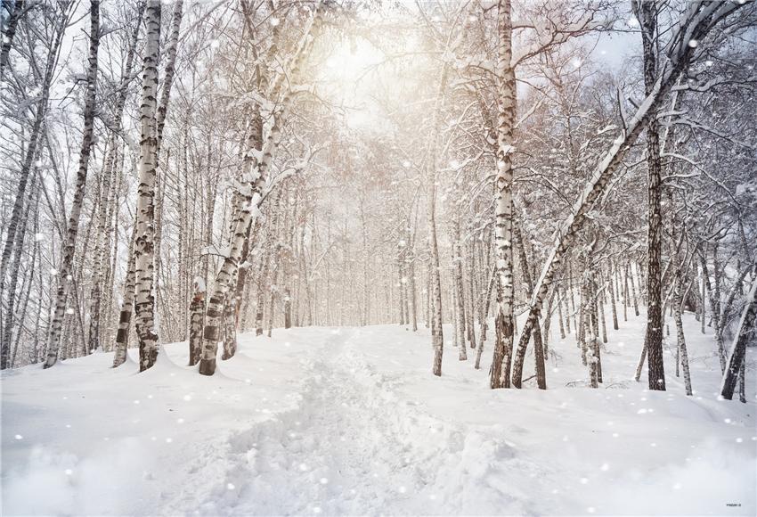 we-are-the-best-place-to-buy-toile-de-fond-de-noel-de-la-foret-de-flocons-de-neige-pour-le-studio-supply_0.jpg