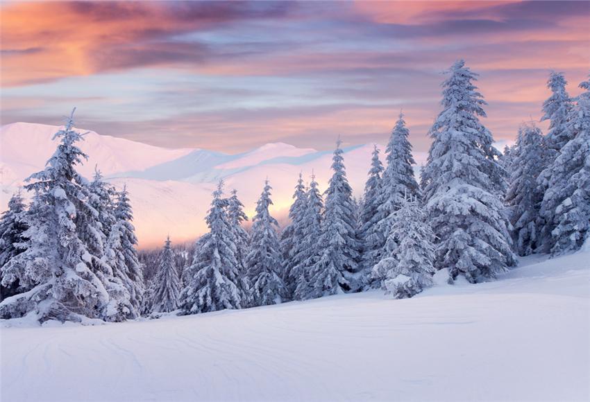 find-the-right-toile-de-fond-de-foret-de-neige-pour-lhiver-sale_0.jpg