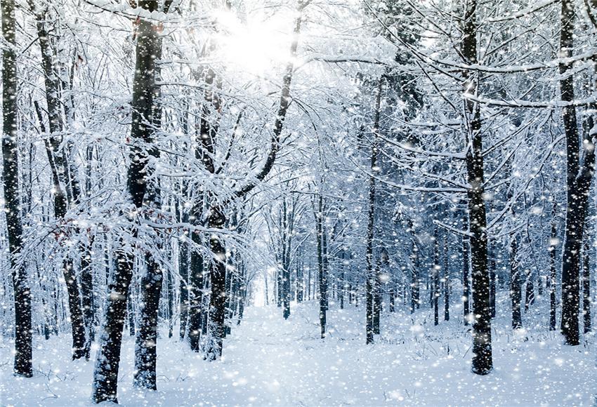 get-your-sporting-goods-of-toile-de-fond-decors-de-noel-de-neige-brillante-dhiver-fashion_0.jpg