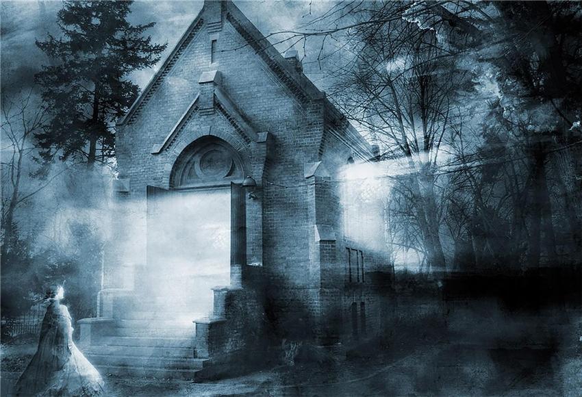 find-wholesale-toile-de-fond-de-chateau-magique-halloween-photographie-online-sale_0.jpg