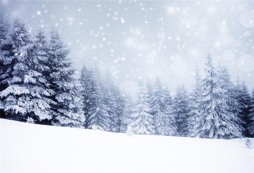 find-your-new-favorite-toile-de-fond-de-foret-de-neige-dhiver-pour-le-studio-online-now_0.jpg