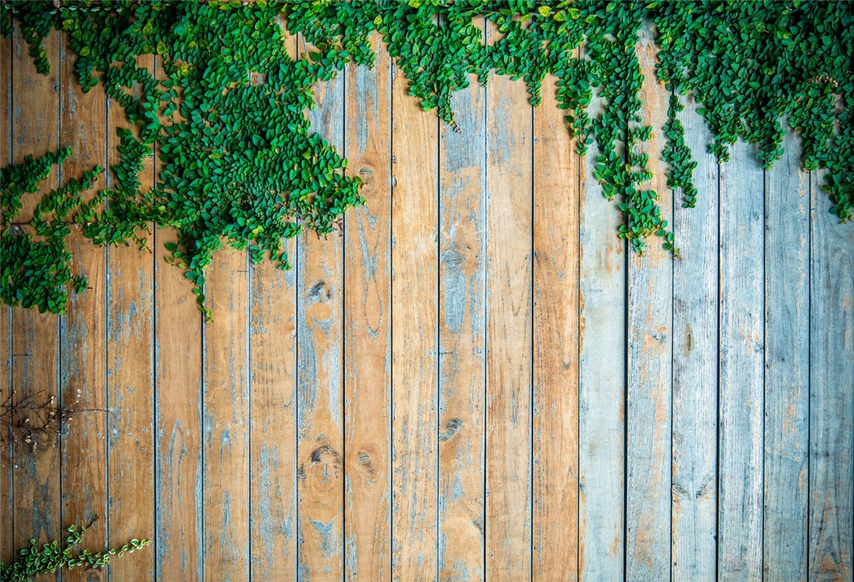 make-your-dreams-come-true-to-wear-toile-de-fond-retro-bleu-mur-en-bois-vert-photographie-on-sale_0.jpg
