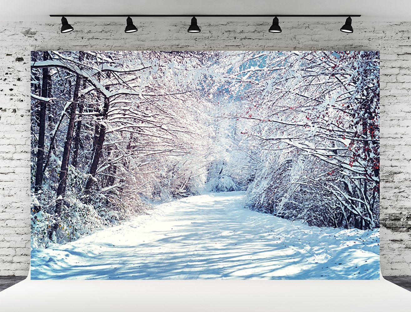 the-best-way-to-buy-toile-de-fond-decors-de-photographie-de-branches-de-neige-dhiver-pour-noel-fashion_1.jpg