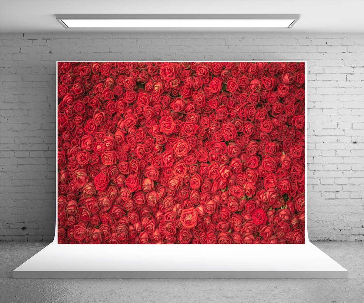 get-your-dream-of-toile-de-fond-detoile-de-fleurs-roses-rouges-pour-decor-de-mariage-on-sale_1.jpg